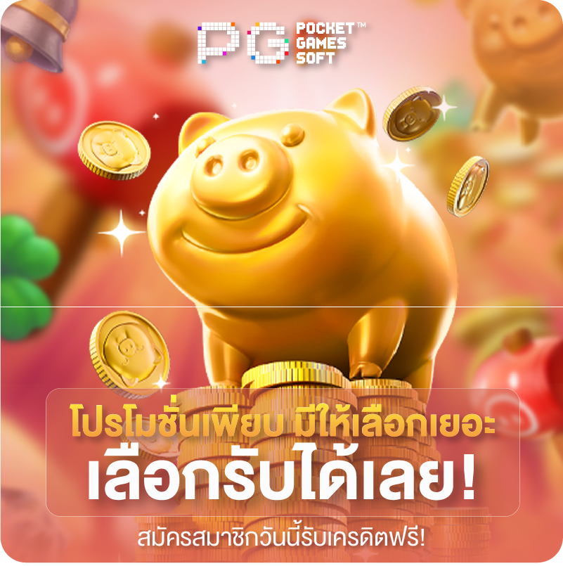 โปรโมชั่นเยอะ